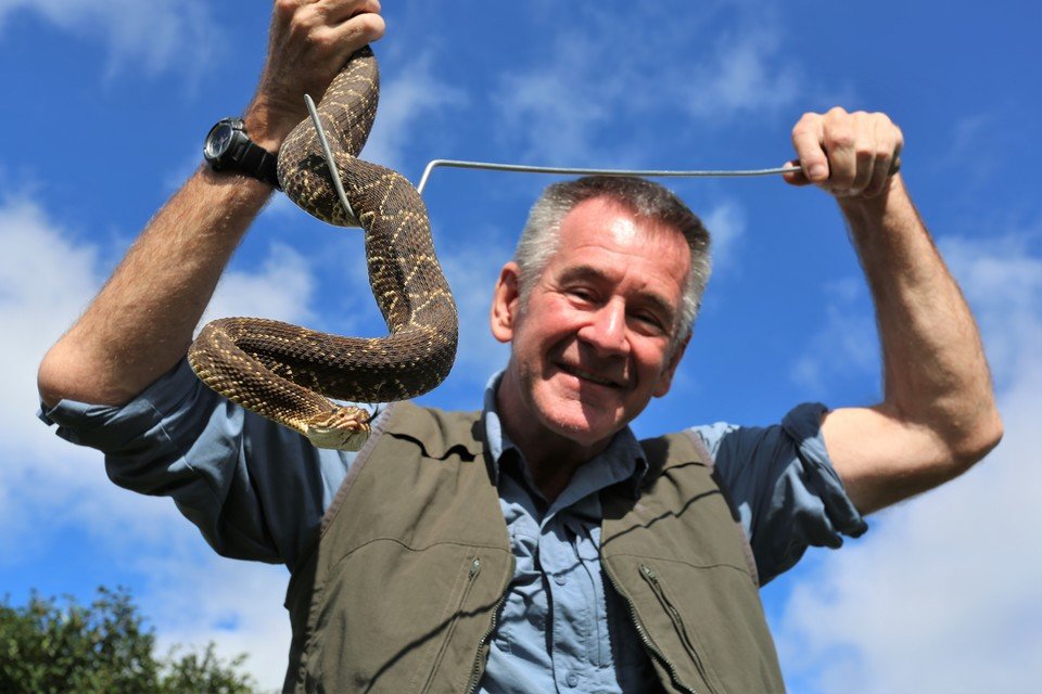 Brazil_TenDeadliestSnakes3_04.jpg