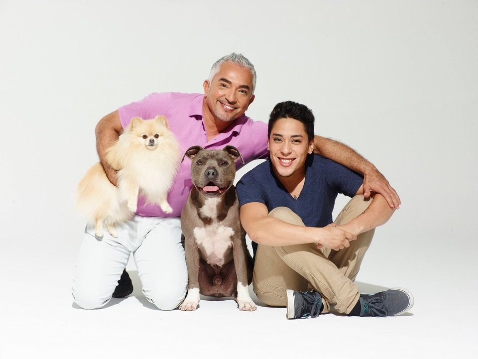 Dog Nation_160919_0030_DL male.jpg