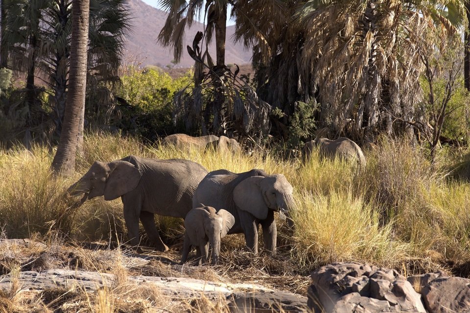 Namibia_01 (2).jpg