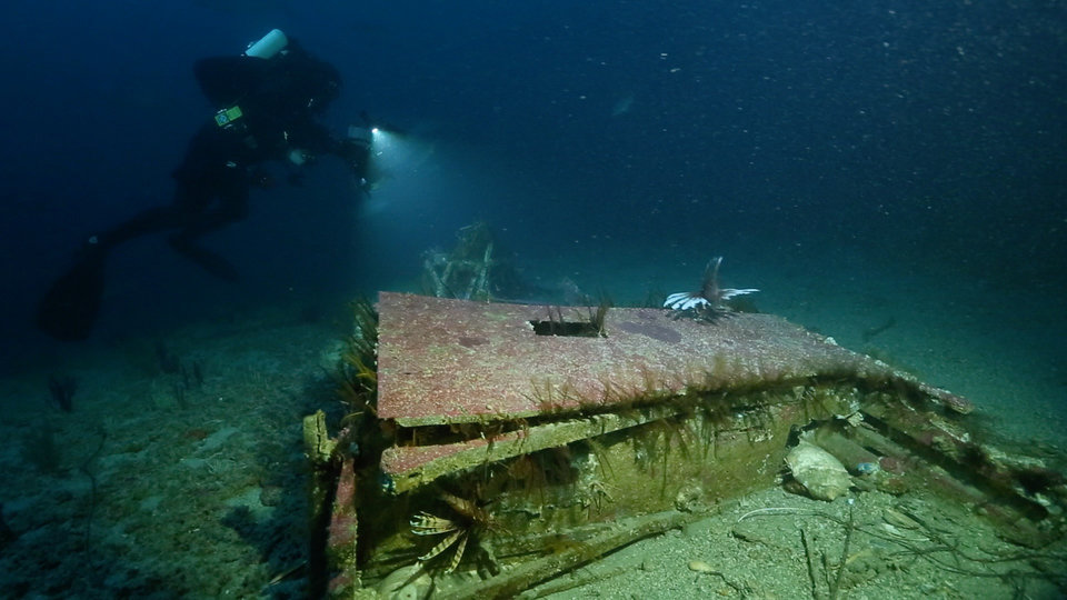 Wyprawa_na_dni-_skarby_ocean_w__106_.jpg