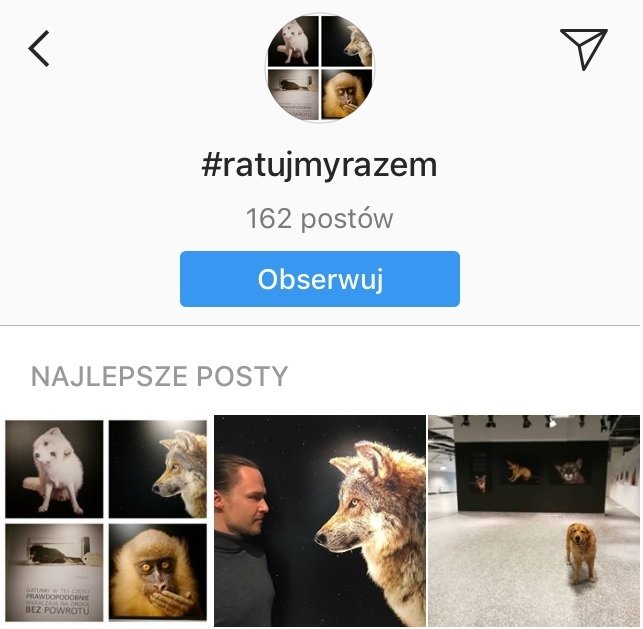 hasz.jpg