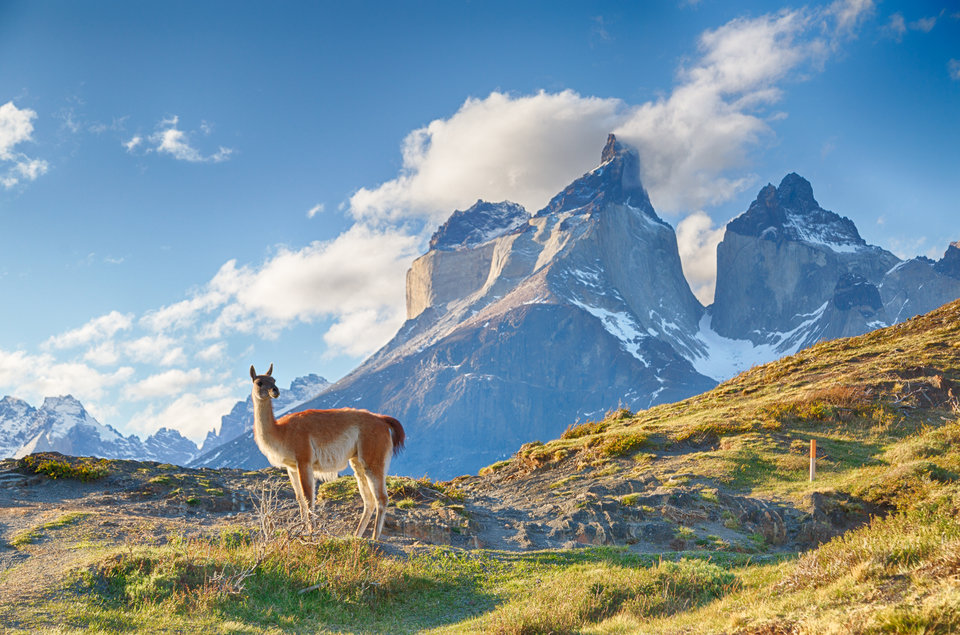 EscapeArtists_ExtremeAnimals_S2_05.jpg