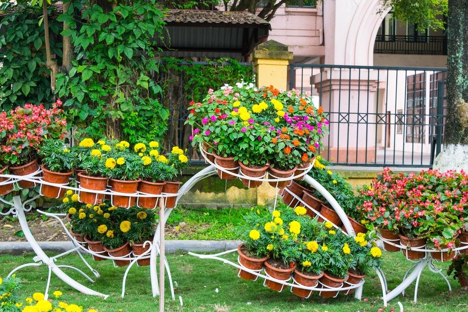 garden-721923_1920.jpg