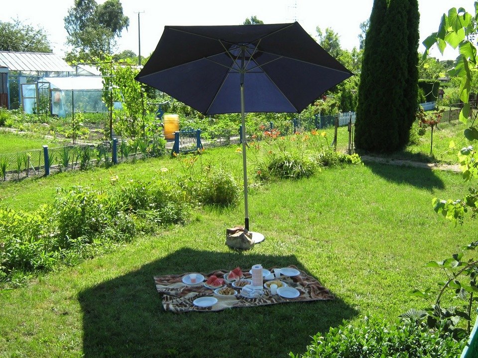 picnic-322665_1920.jpg