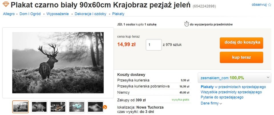 plakat krajobraz pejzaż jeleń.jpg