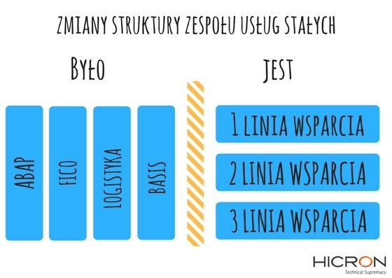 Struktura Dział Usług Stałych<br>