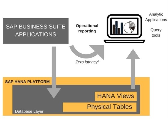 SAP ERP HANA LIVE.jpg