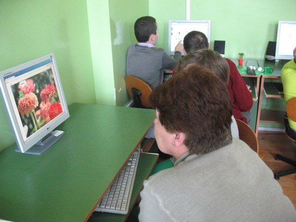06.jpg