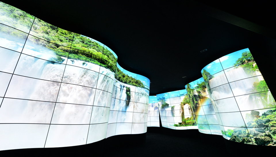 LG OLED Canyon_4.jpg