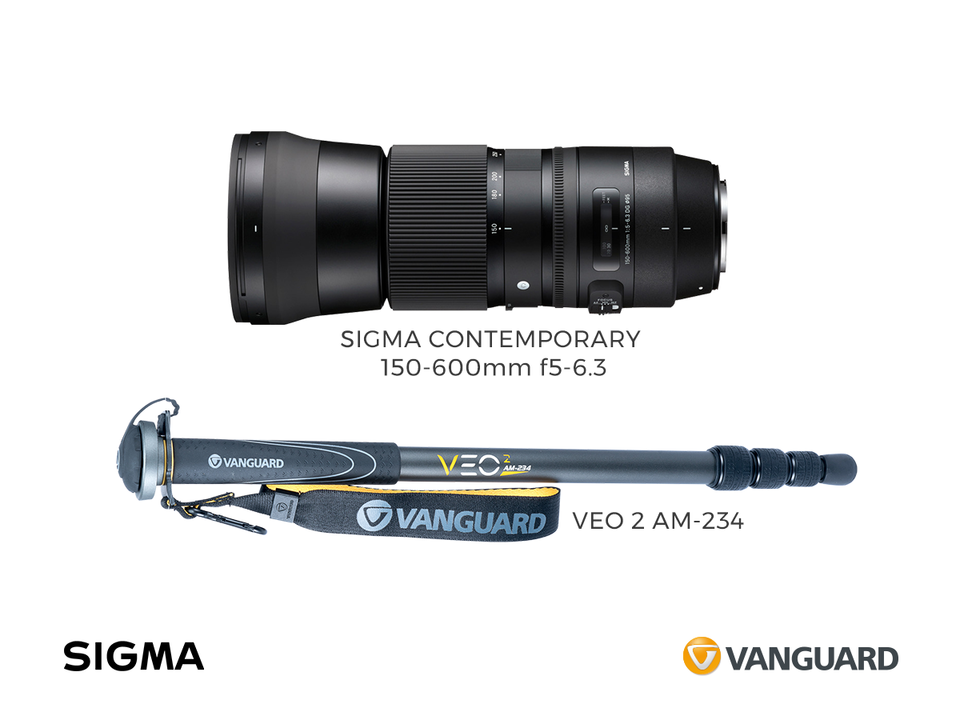 SIGMA C 150-600 mm F5-6.3 DG OS HSM