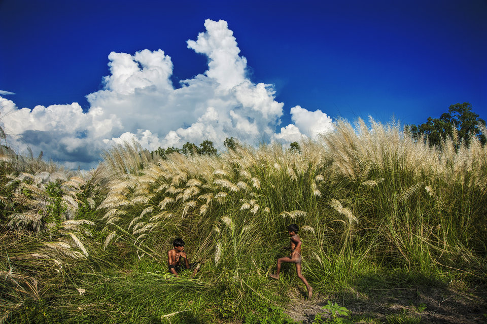 Gold Prize: Amitava Chandra, India, NATURE'S MUSIC