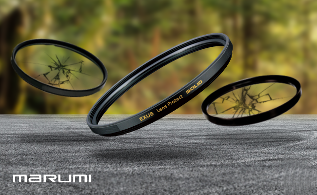 Sigma_newsletter_graphics_18_marumi.png