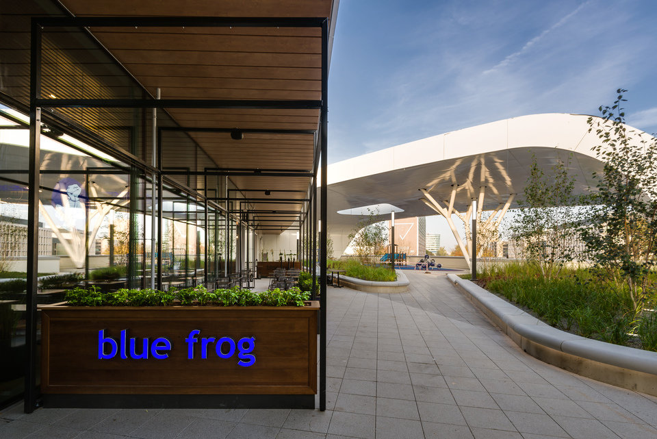 Restauracja Blue Frog w CH Wroclavia