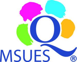 logo-MSUES-z-R-300x240.jpg